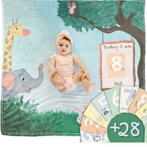 Baby Milestone Blanket